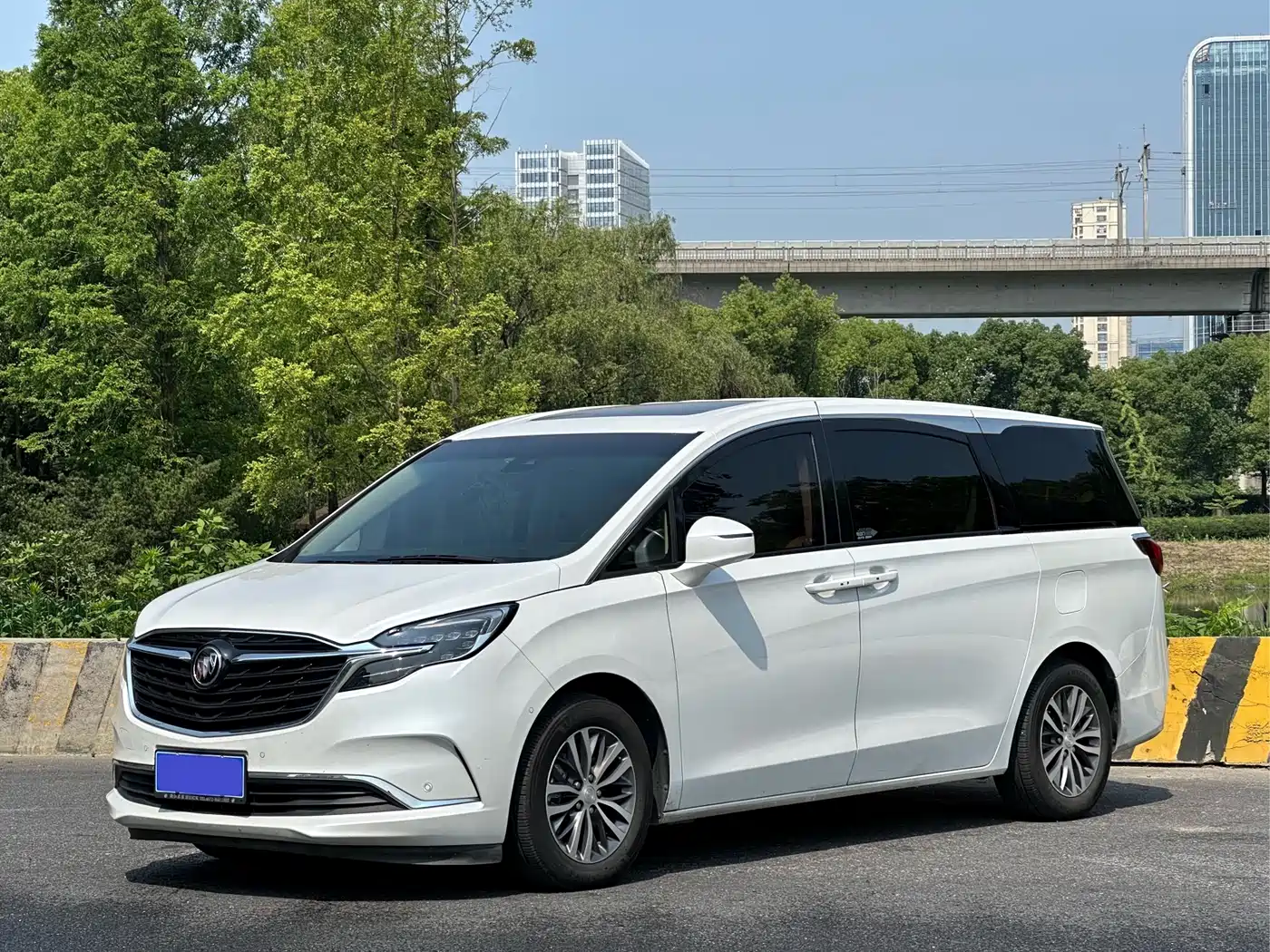 Buick GL8 2022 ES Landmark 653T Premium