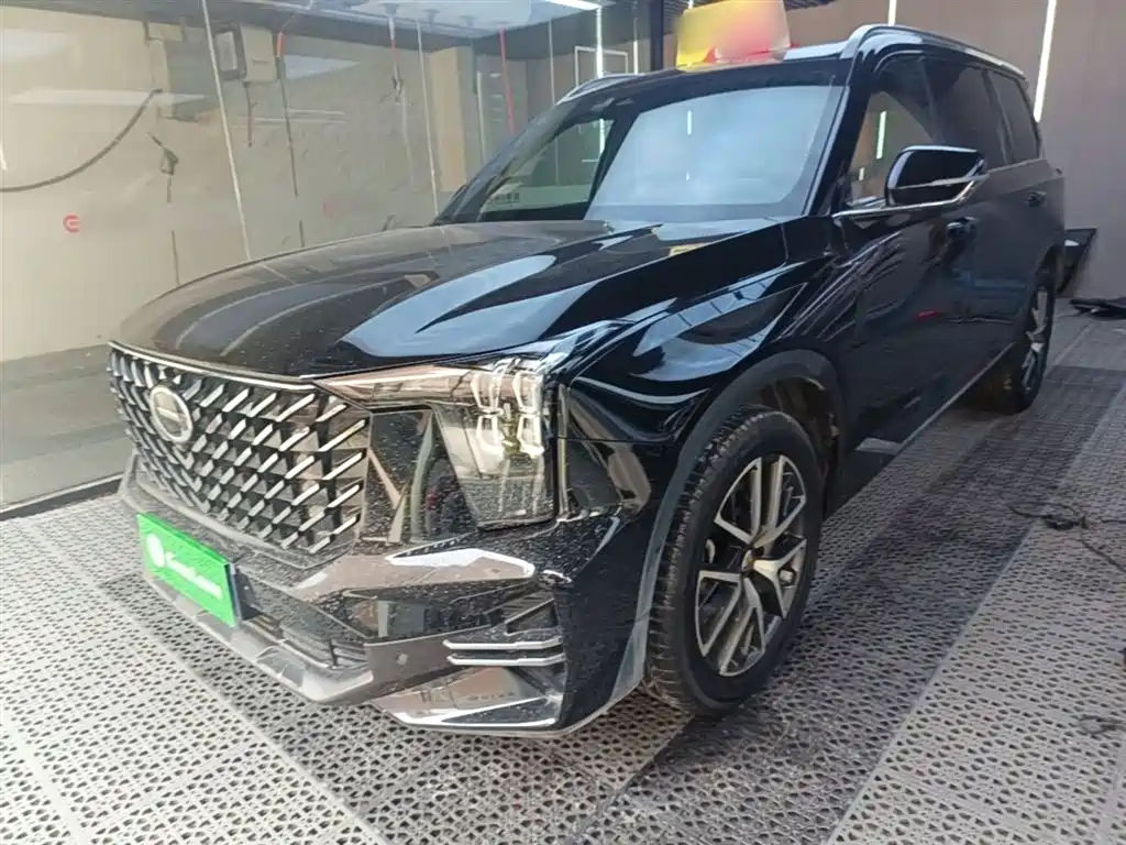 GAC Trumpchi Trumpchi GS8 2024 Navigator Series 2.0TGDI 4WD Luxury Smart Connect Edition фото 2