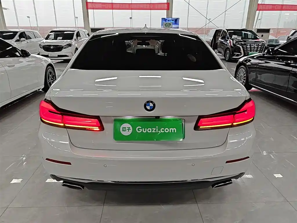 BMW 5 SERIES NEW ENERGY
