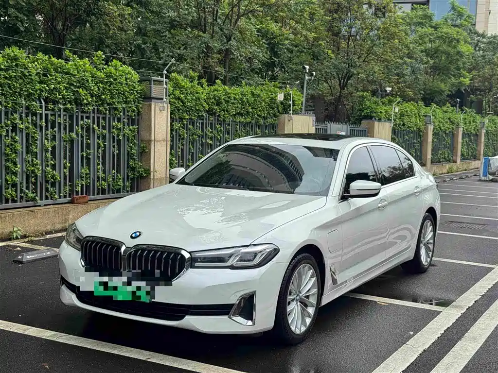 BMW 5 Series New Energy 2021 535Le Luxury Package
