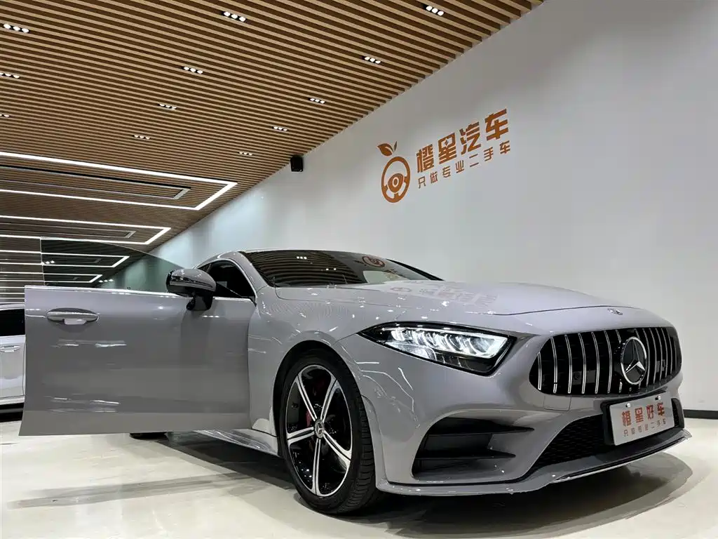 Mercedes-Benz CLS 2020 CLS 300 Luxury фото 6