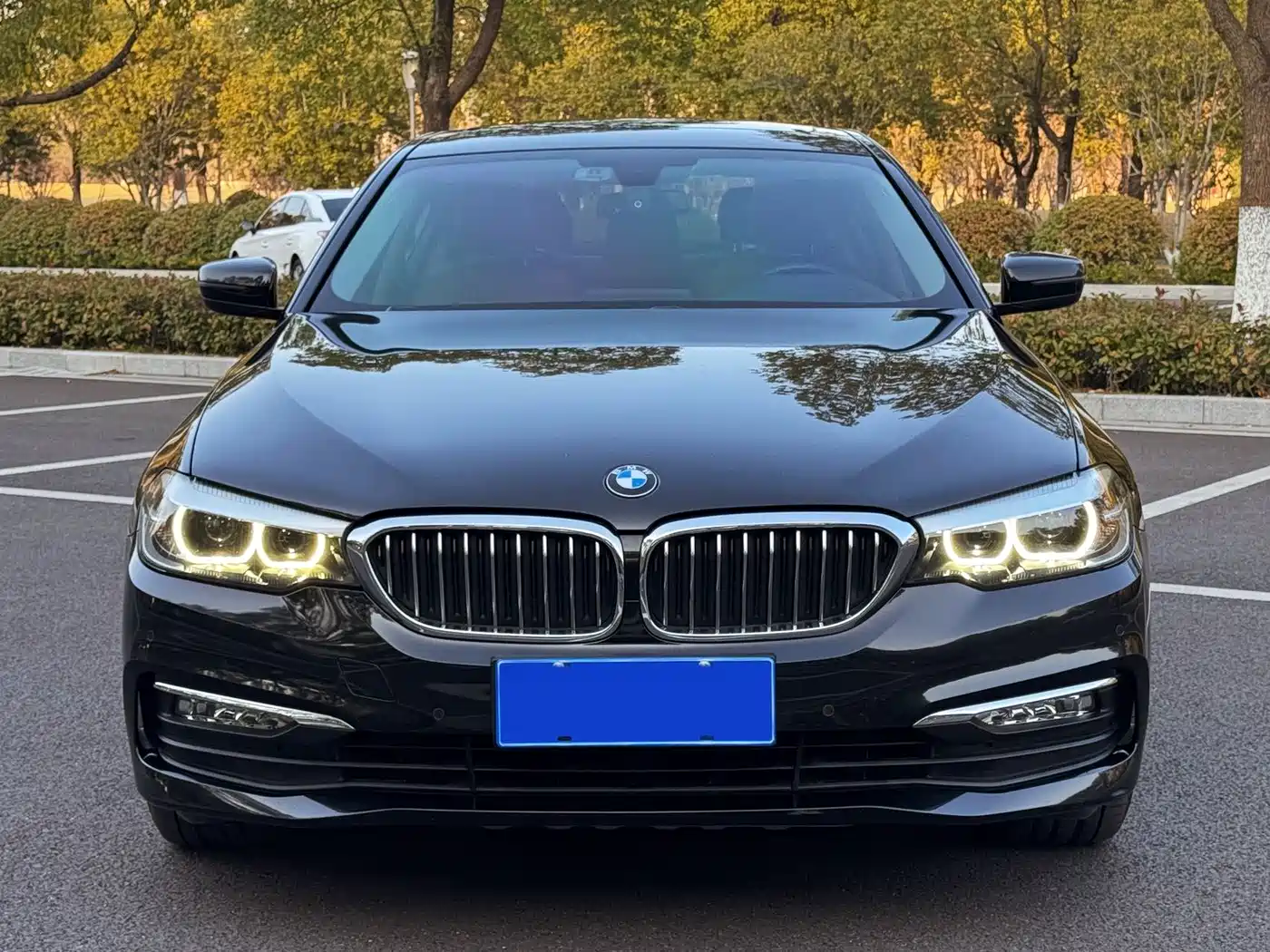 BMW 5 Series 2018 528Li Launch Special Edition фото 2