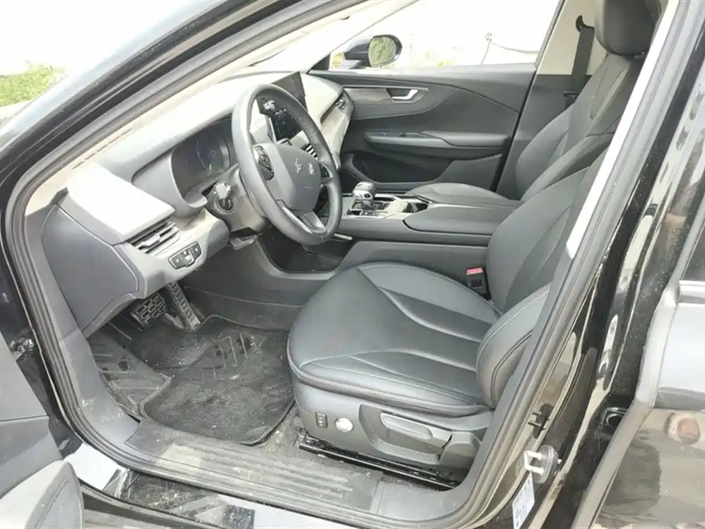 Hongqi E-QM5 2023 Facelift Basic Travel Edition фото 12