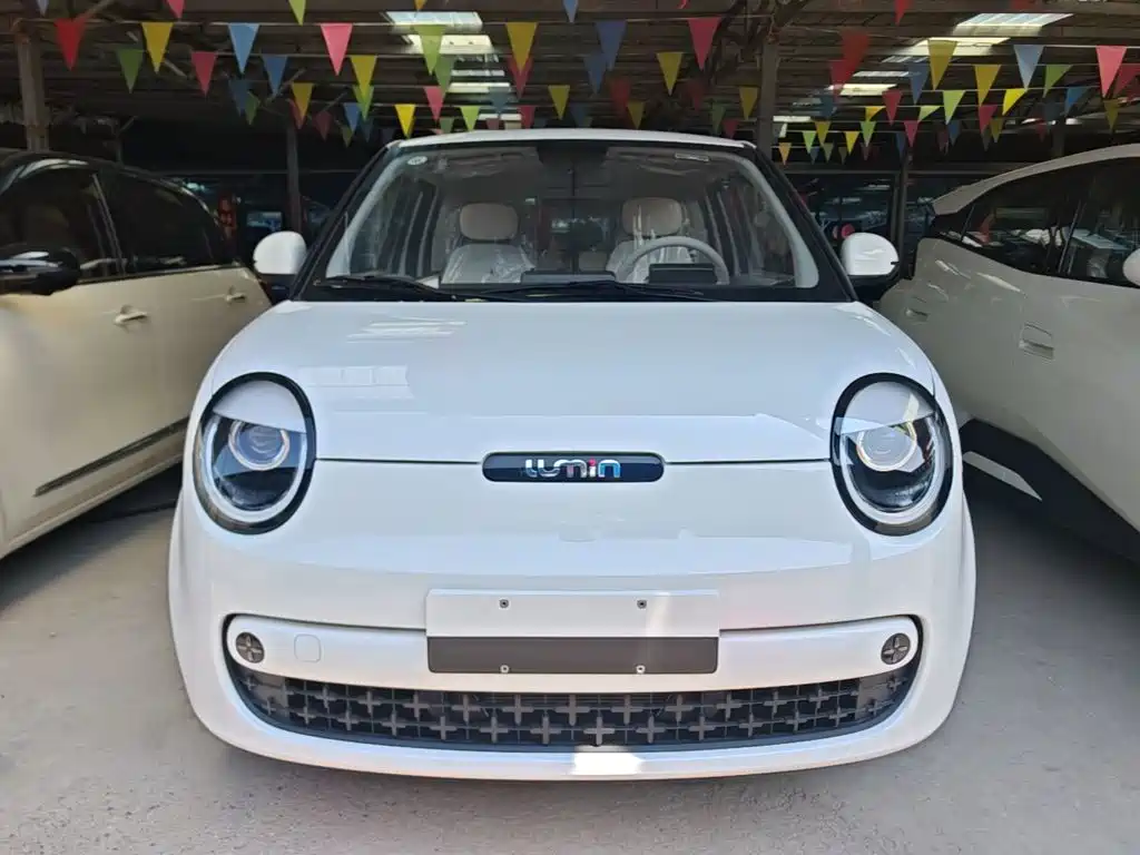 Changan Qiyuan Changan Lumin 2026 2026 Model Treasure Edition 205km Sweet Rice Guoxuan