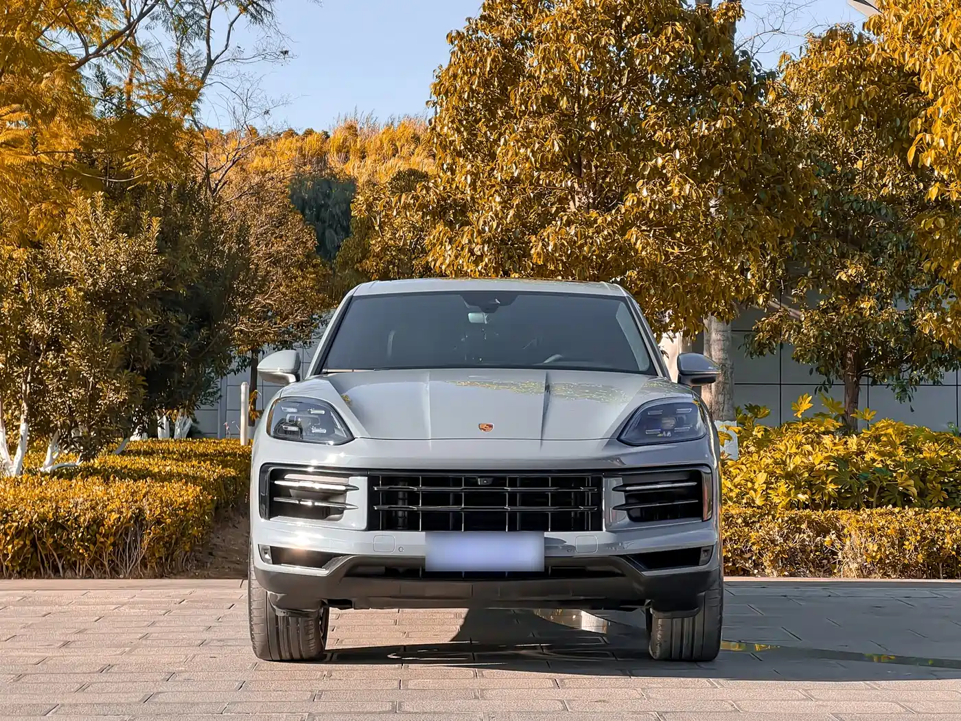 Porsche Cayenne 2024 Cayenne 3.0T фото 2