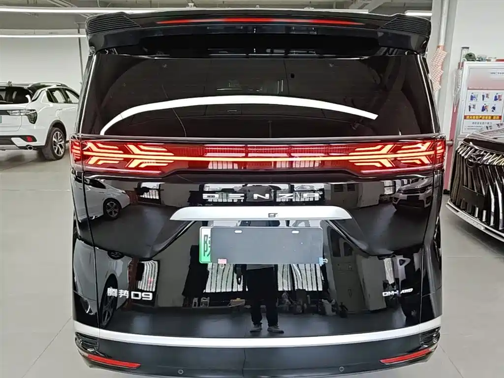 Denza D9 2024 DM-i 980 AWD Premium фото 6