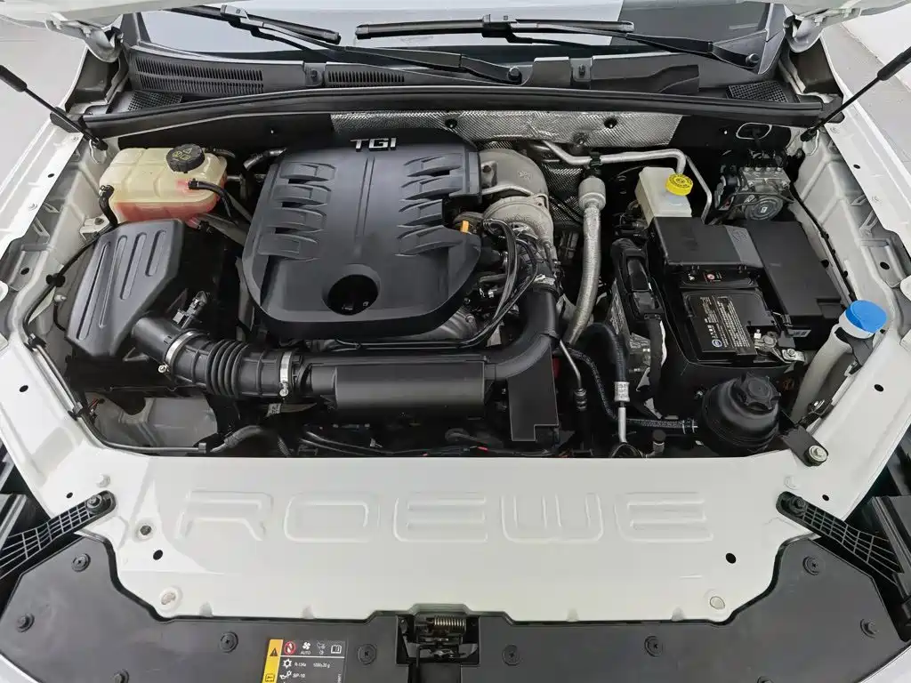 Roewe RX8 2023 2019 30T 2WD Flagship Edition