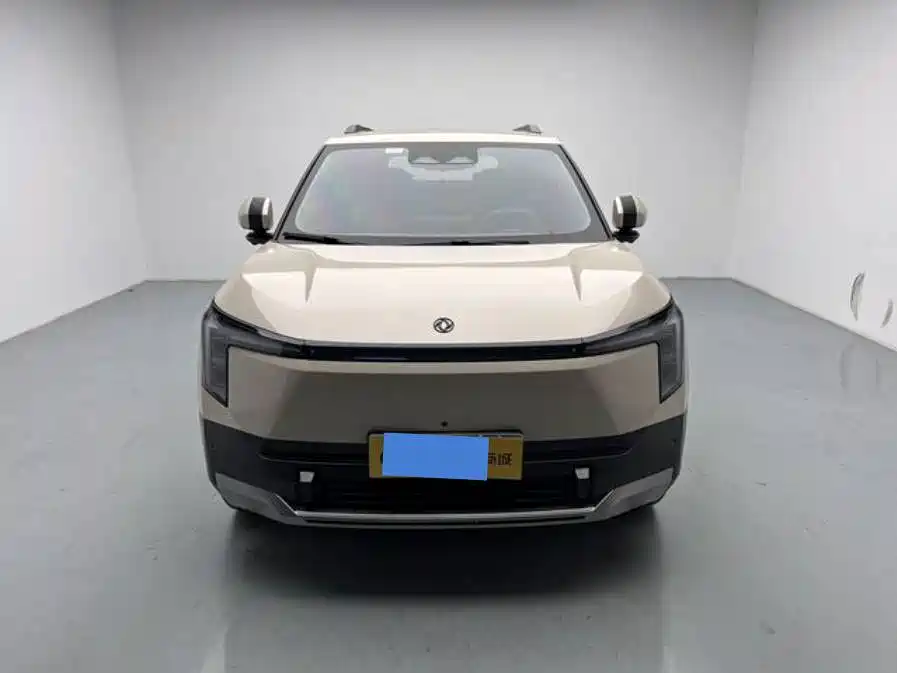 2025 Dongfeng Yipai Nano 06