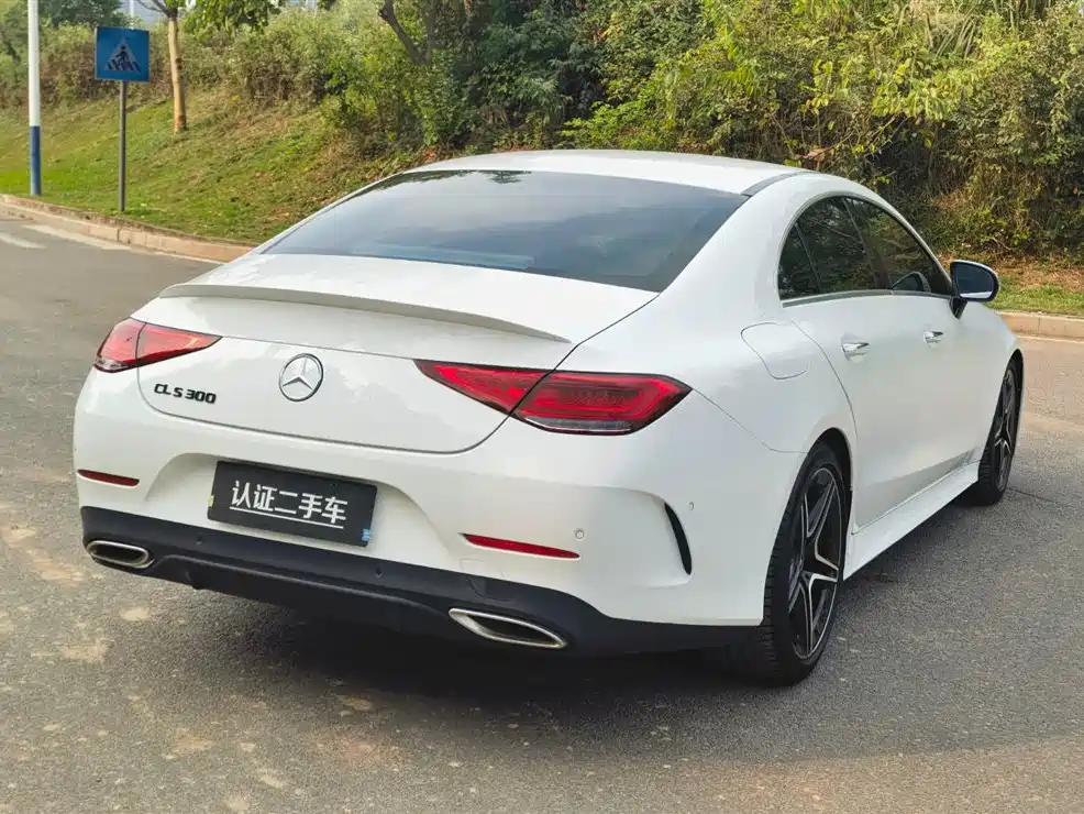 Mercedes-Benz CLS 2021 CLS 300 Luxury фото 7