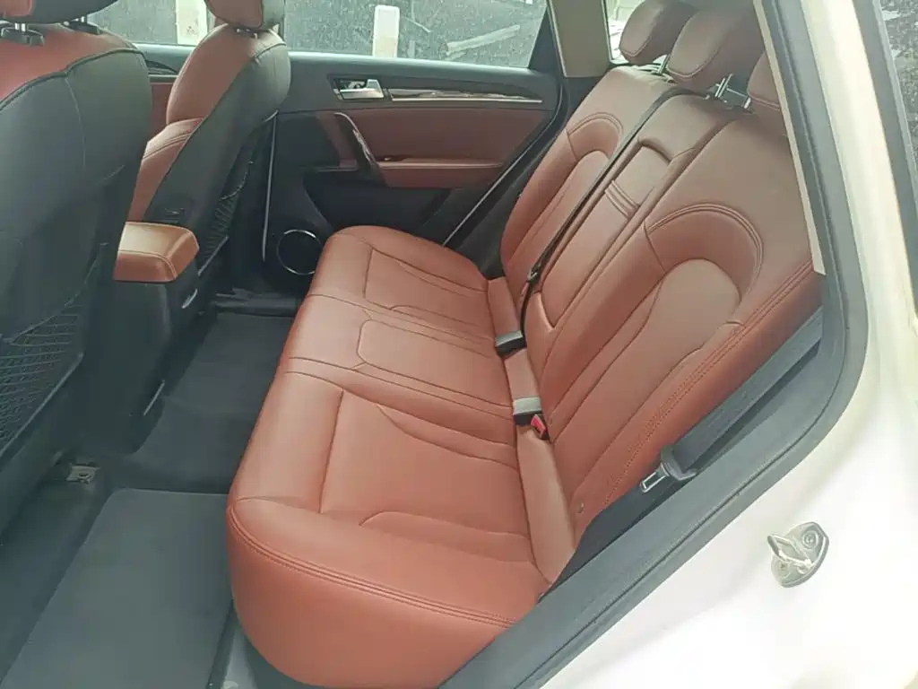 صورة 17 - Zotye T600