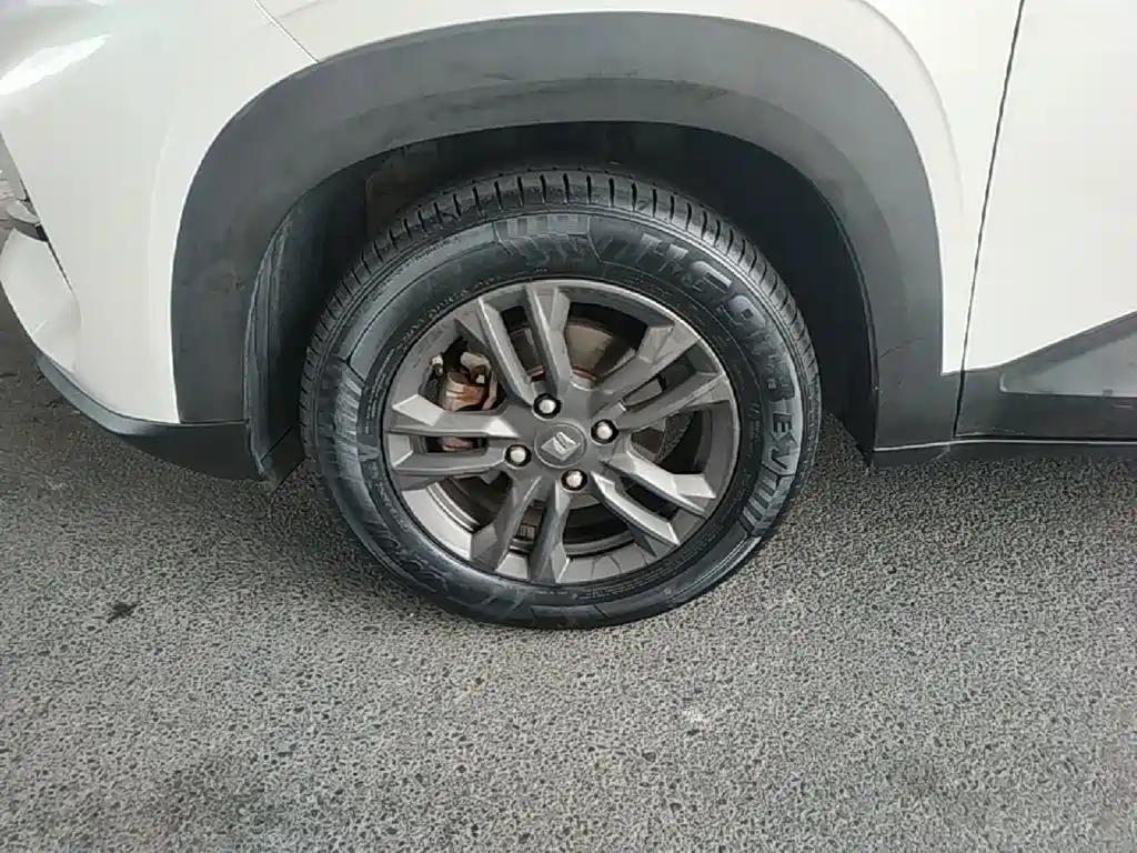 Baojun RS-3 2019 2020 Model 1.5L CVT 24-hour Online Luxury
