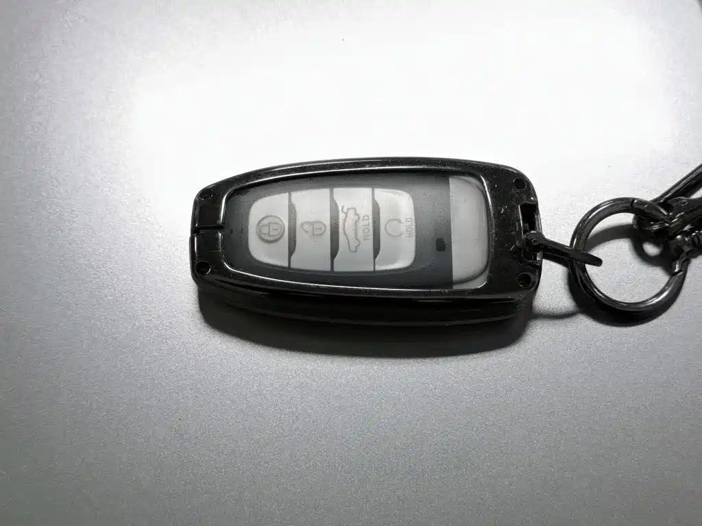 Photo 19 - Hongqi H9