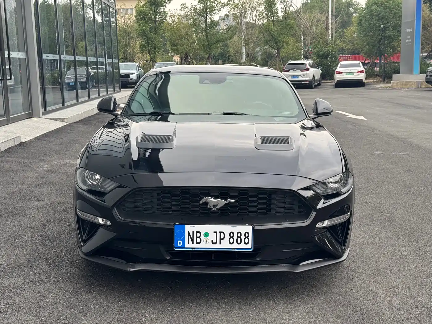 Ford Mustang 2019 2.3L EcoBoost фото 2