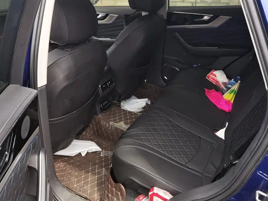 Hongqi HS5 2019 2.0T Smart Connect Enjoy 4WD Edition фото 11