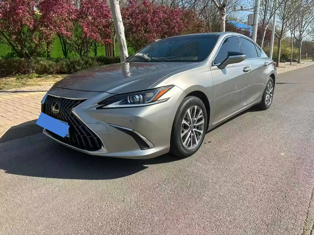 Lexus ES 2024 200 Premium Edition