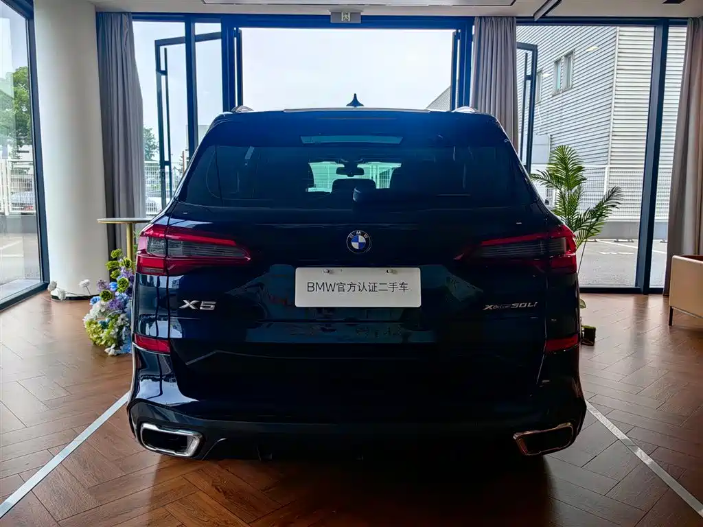 BMW X5 2022 xDrive 30Li Premium M Sport Package фото 5