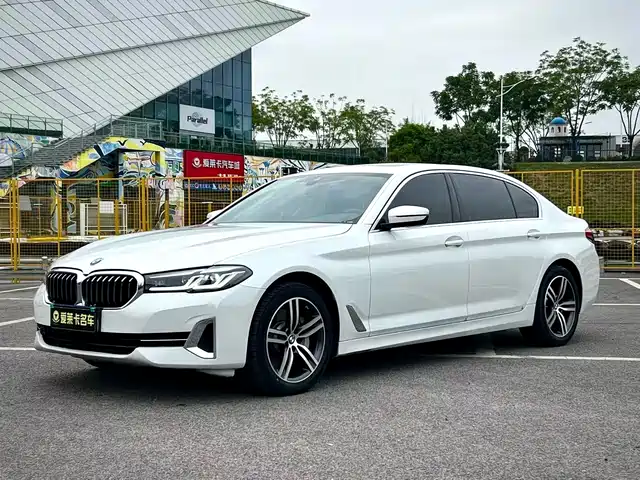 BMW 5 530Li, Престиж, Люкс-пакет