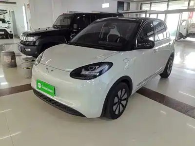 Wuling Bingo