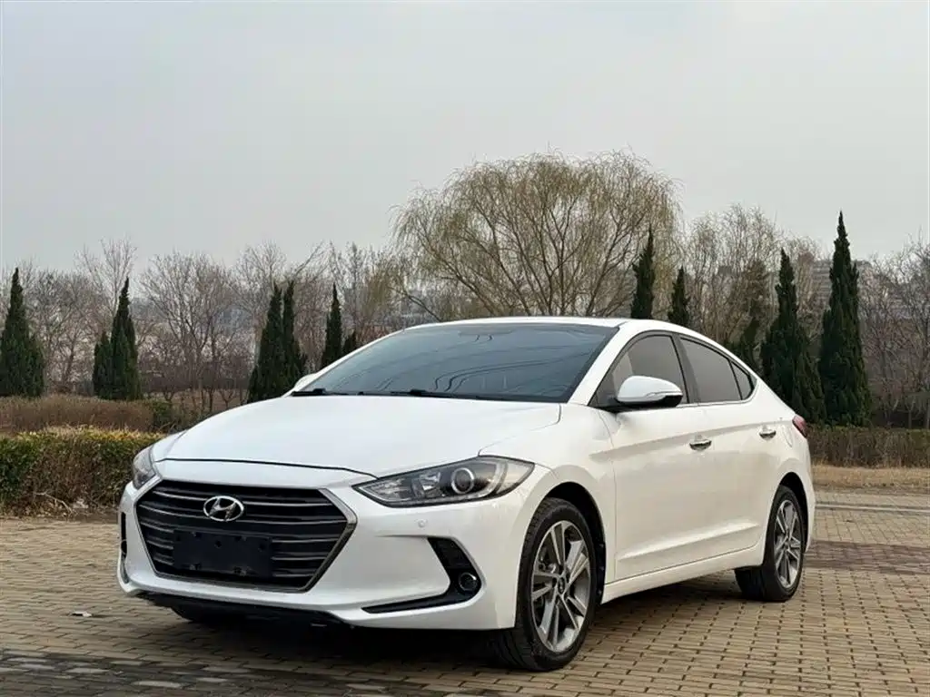 HYUNDAI LEAD