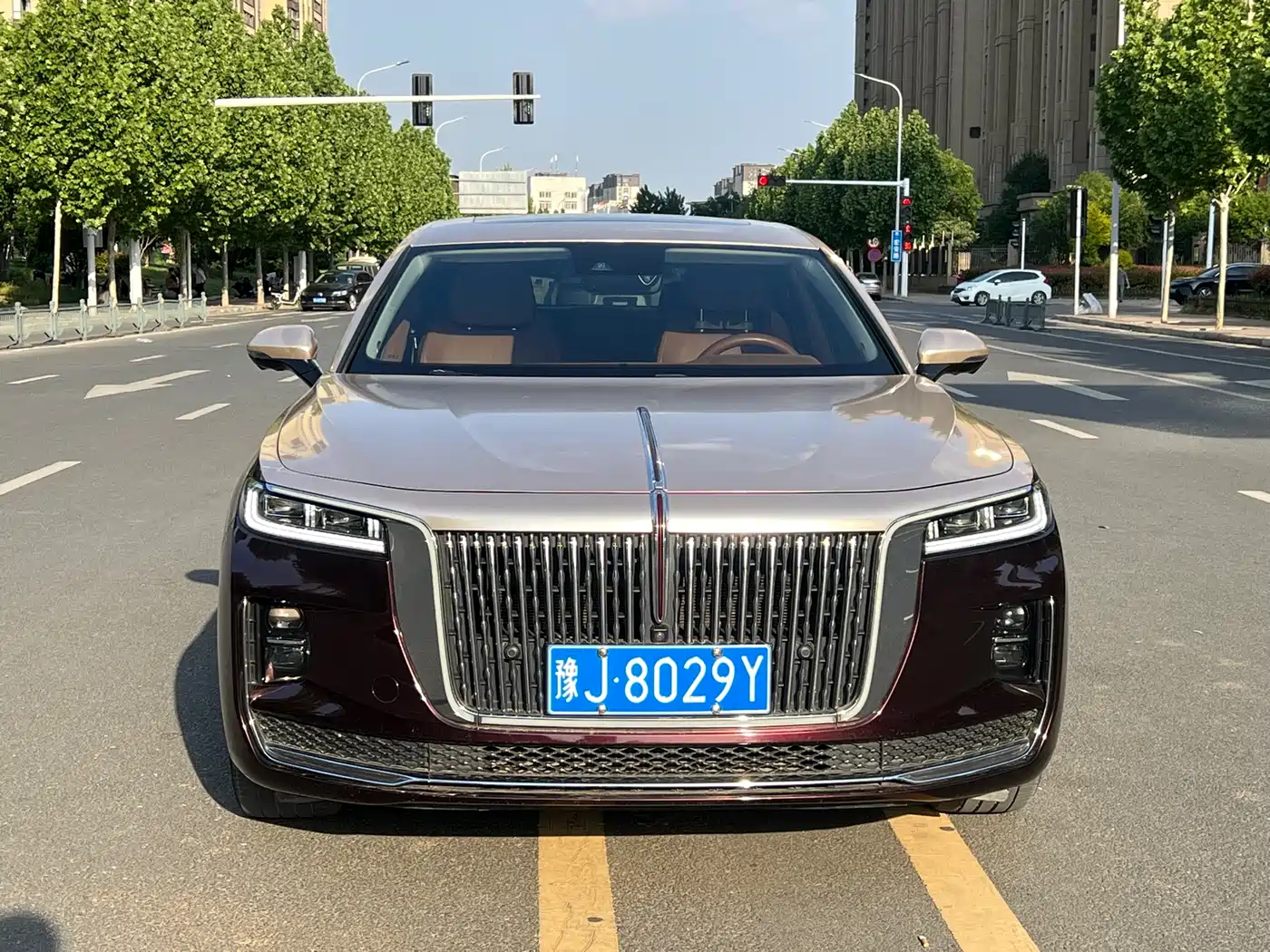 Hongqi H9 2020 2.0T Smart Connection Qi Xiang Edition фото 2