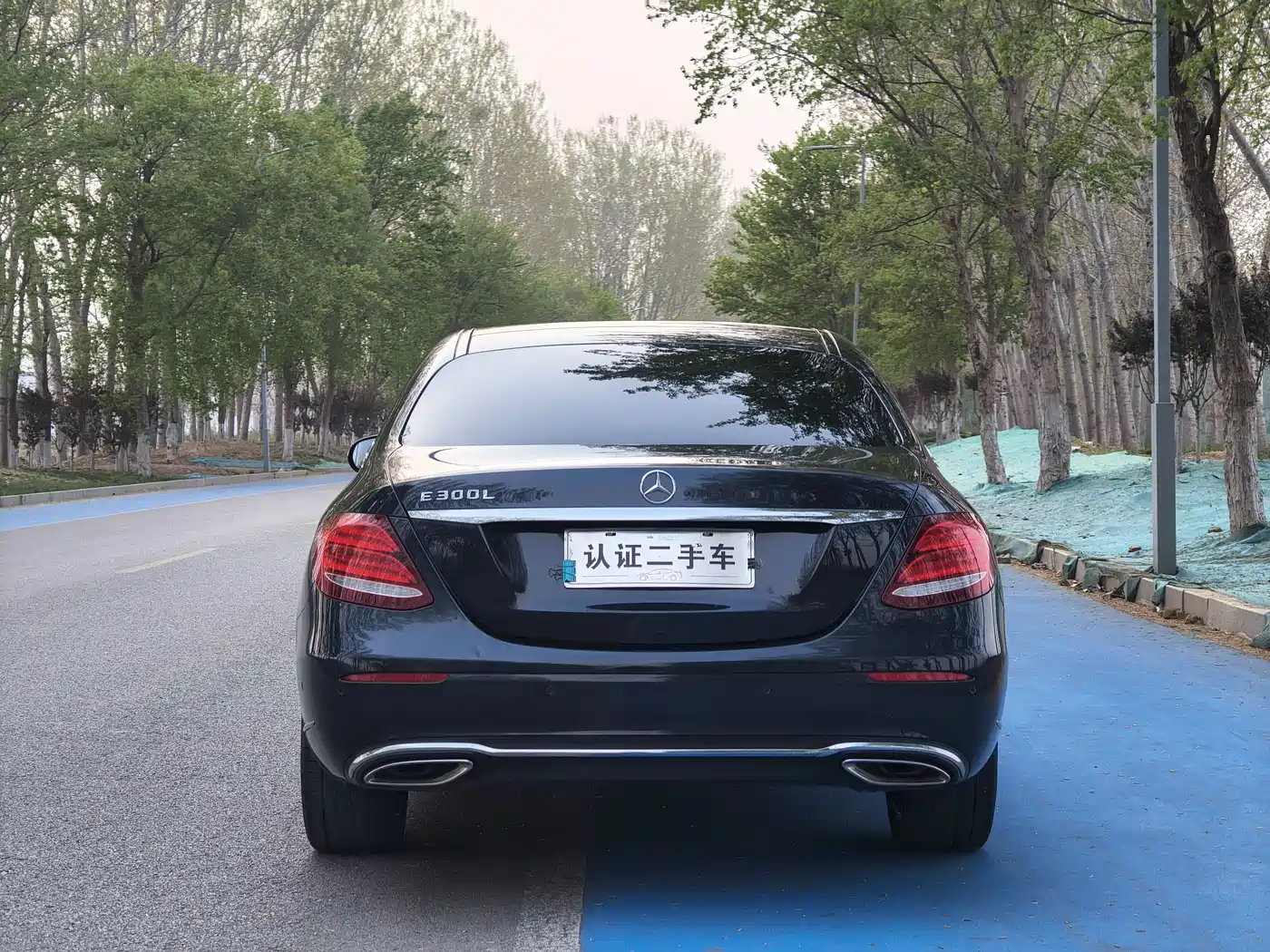 Mercedes-Benz E-Class 2017 E 300 L Luxury фото 6