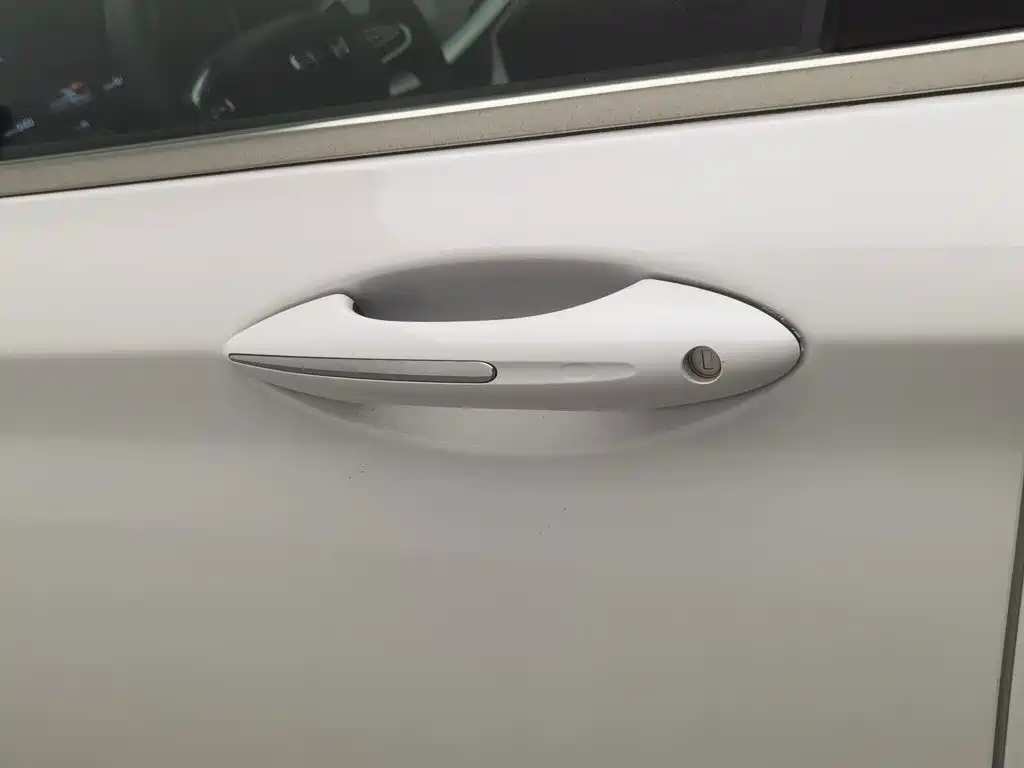 Geely Borui 2022 2021 1.8T Pilot Edition+
