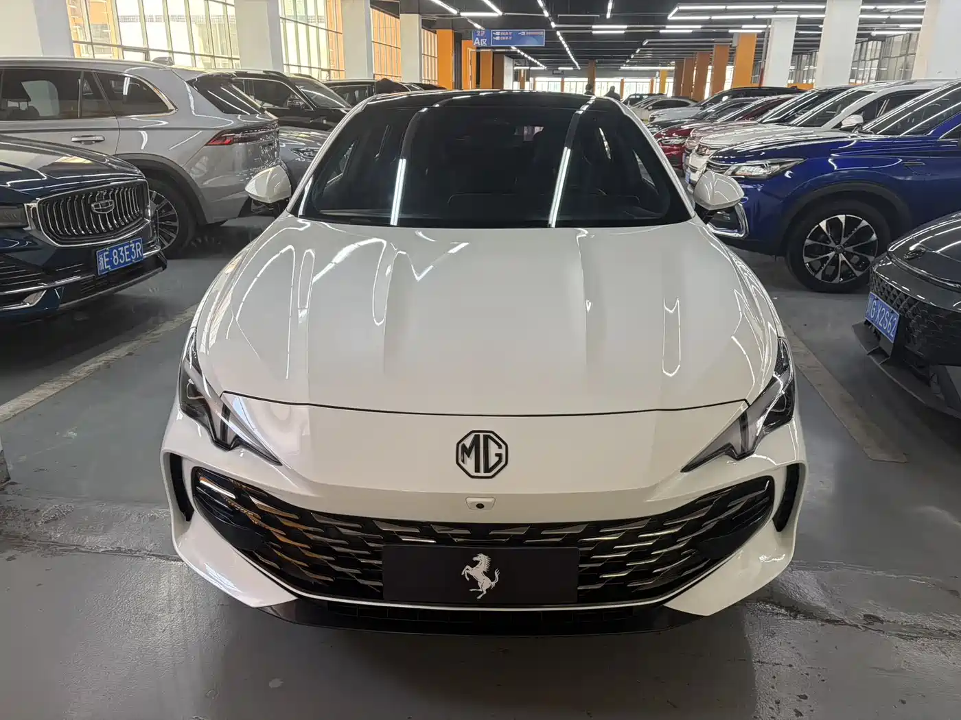 MG 7