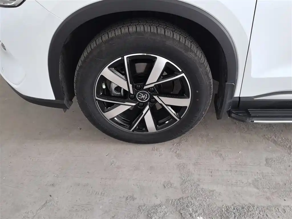 BYD Song Pro New Energy 2023 Champion Edition DM-i 71KM Pilot Model фото 24