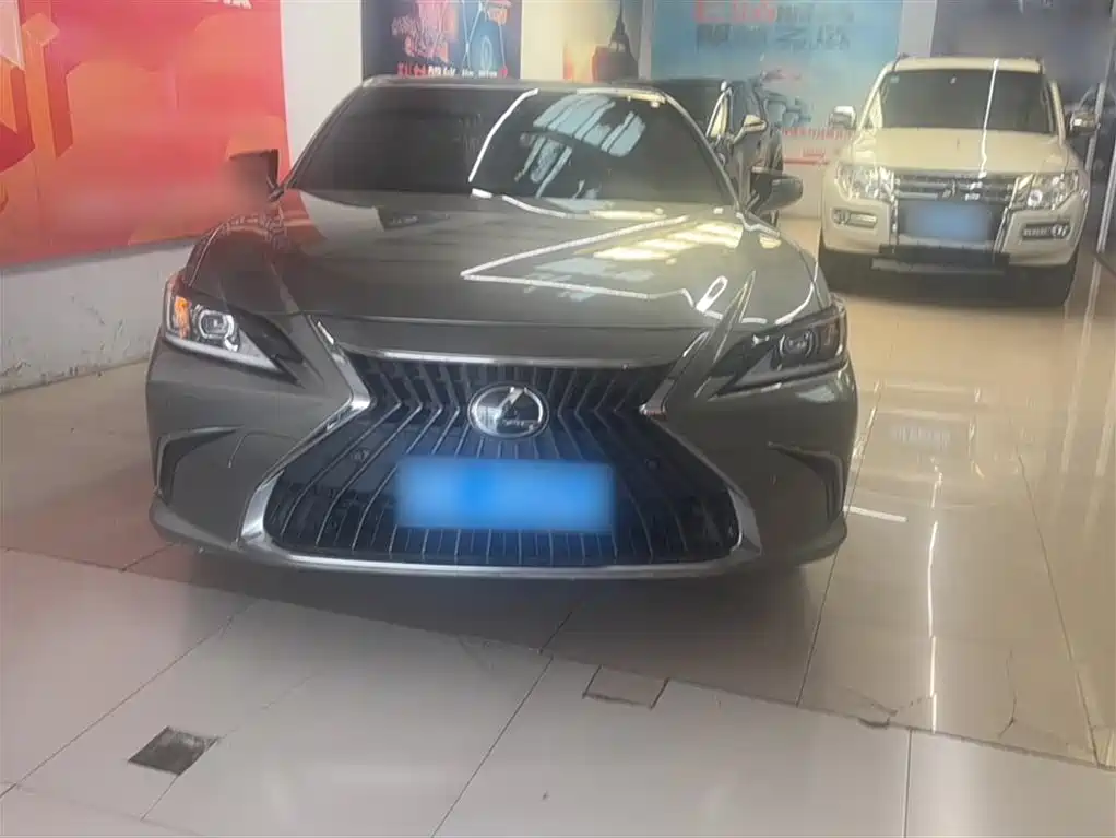 Lexus ES 2022 200 Excellence Edition фото 9