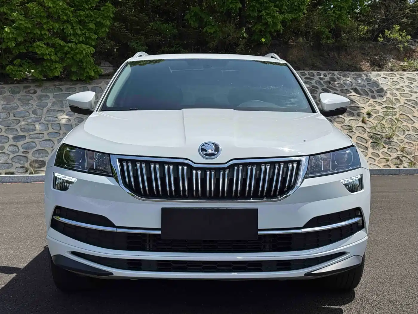 Škoda Karoq 2023 TSI280 Premium Edition фото 2