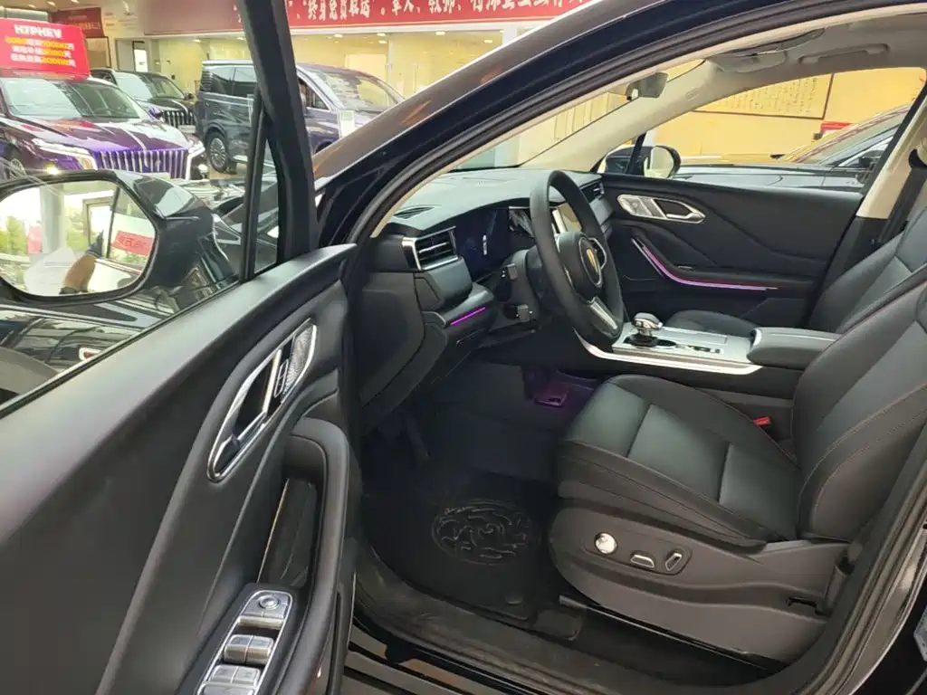 صورة 16 - Hongqi HS7 PHEV