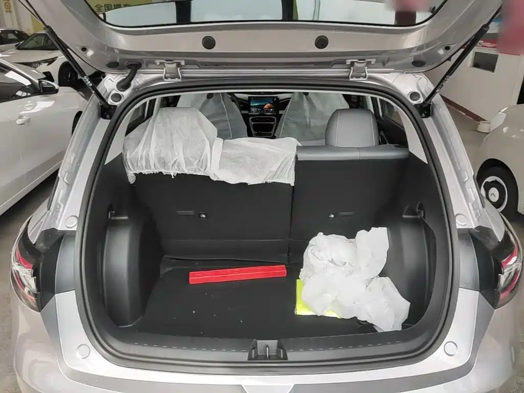 Geely Galaxy Starry Wish 2026 2026 Edition 310km Youth Version