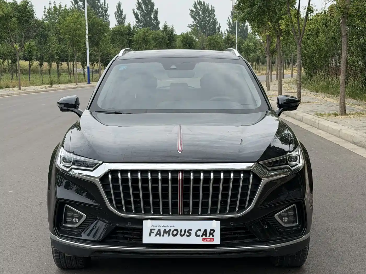 Hongqi HS5 2019 2.0T Smart Connect Enjoy Edition фото 2