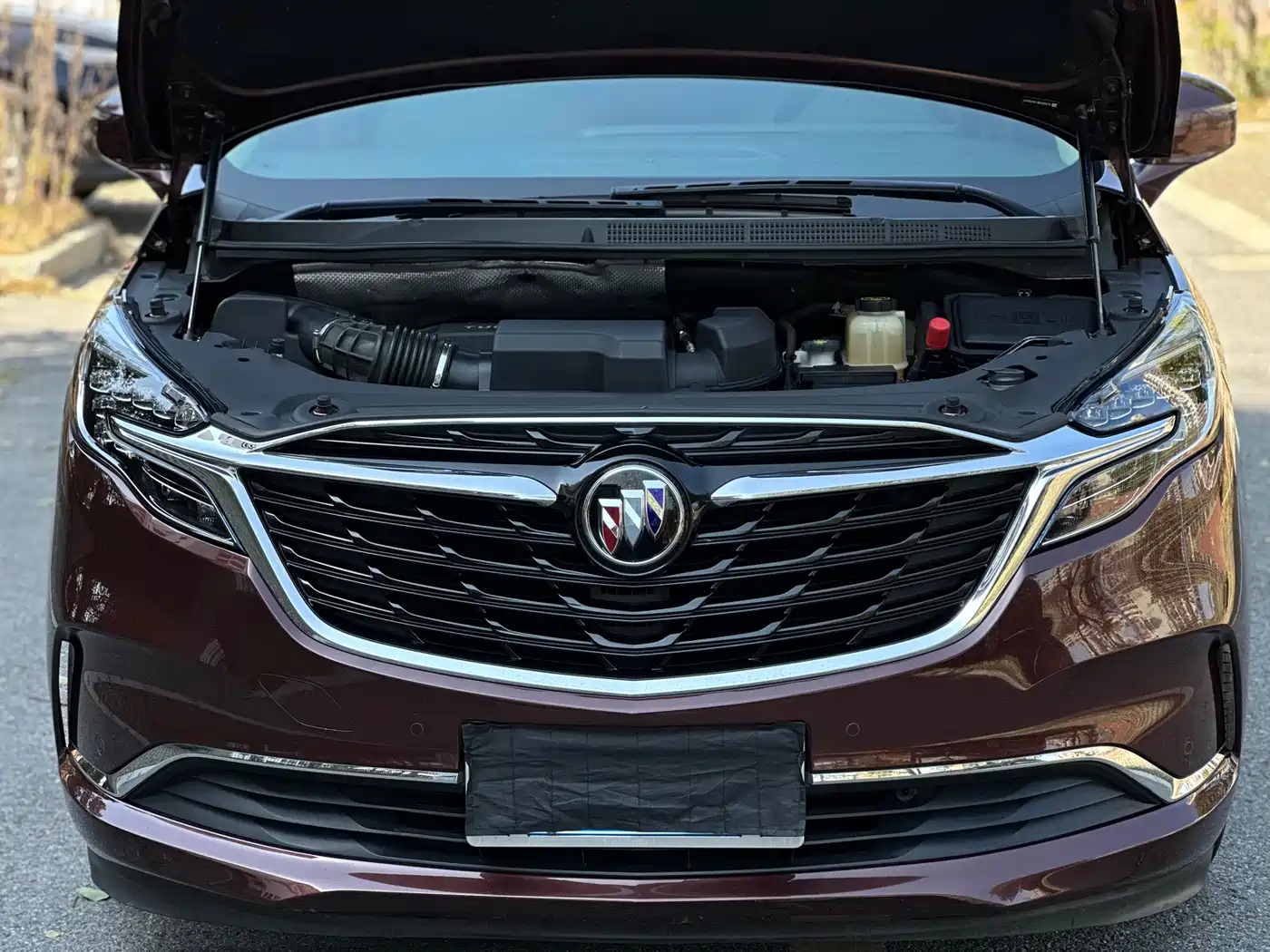 Buick GL8 2022 ES Landmark 653T Premium фото 30