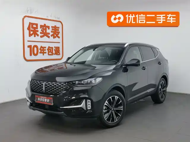 WEI PAI WEI BRAND VV6