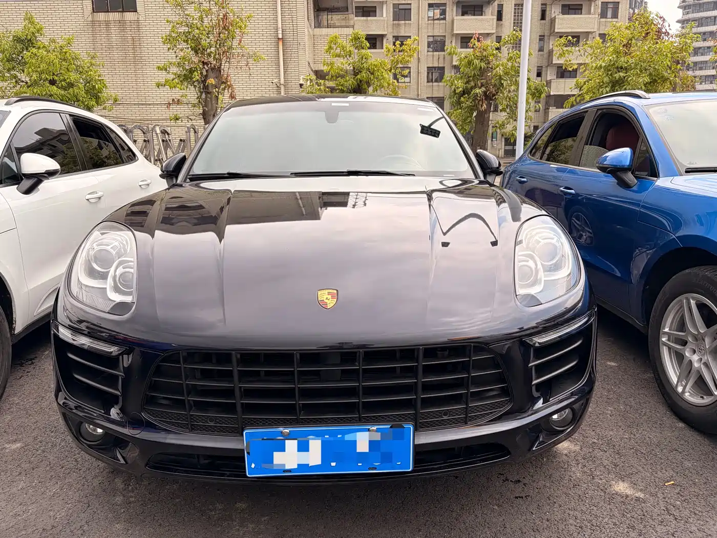Porsche Macan 2016 Macan 2.0T фото 2
