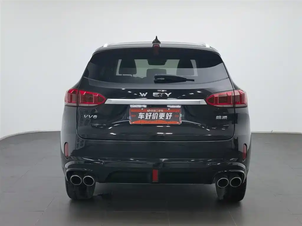 WEI PAI WEI BRAND VV6