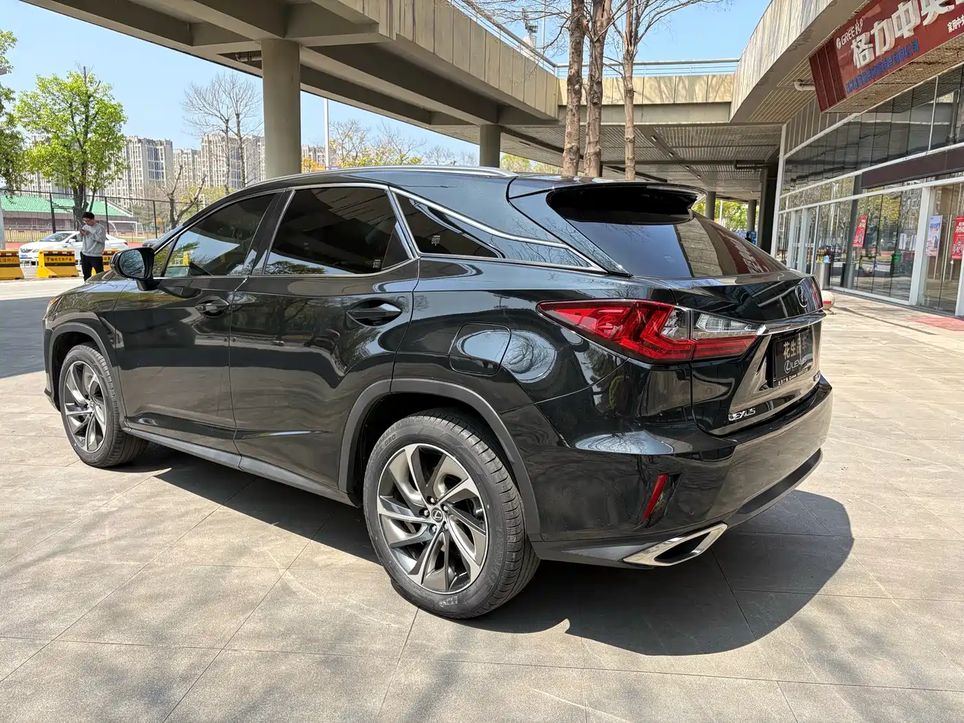 LEXUS RX