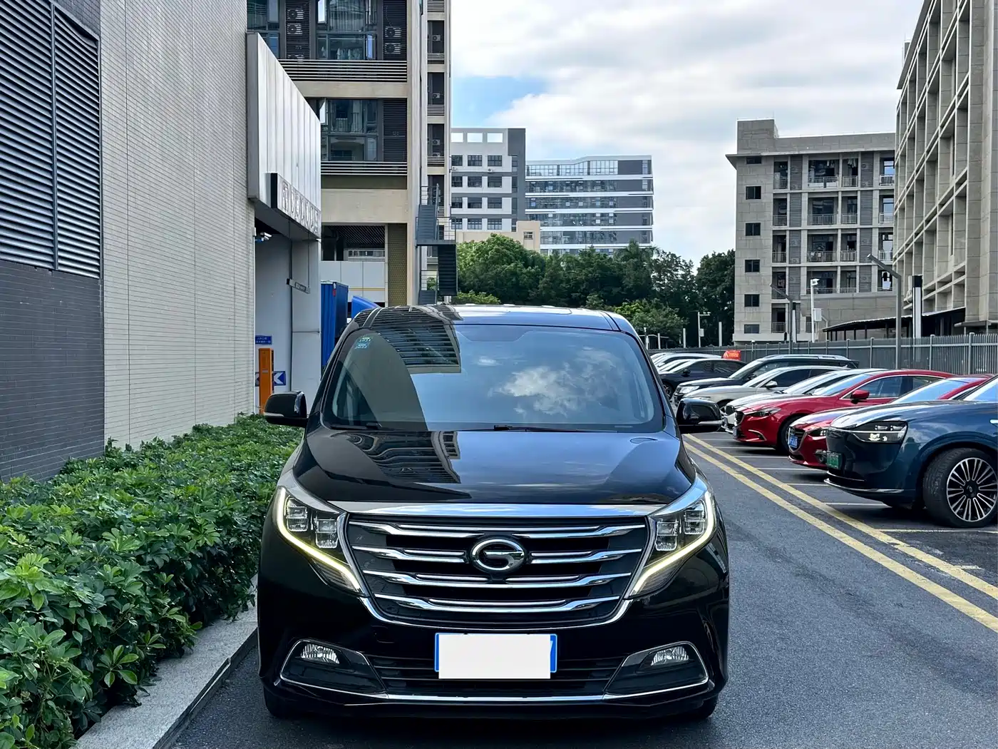 GAC Trumpchi Trumpchi M8 2018 320T Exclusive Edition фото 2