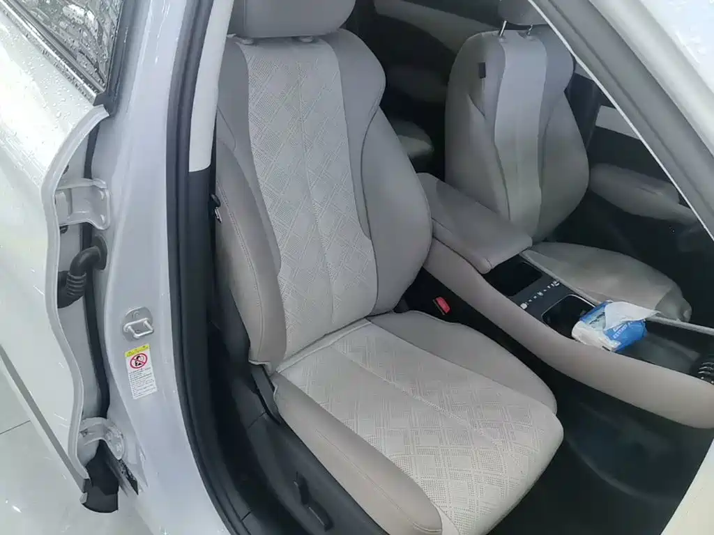 BYD Yuan PLUS 2025 2025 Smart Drive 510KM Surpass Edition