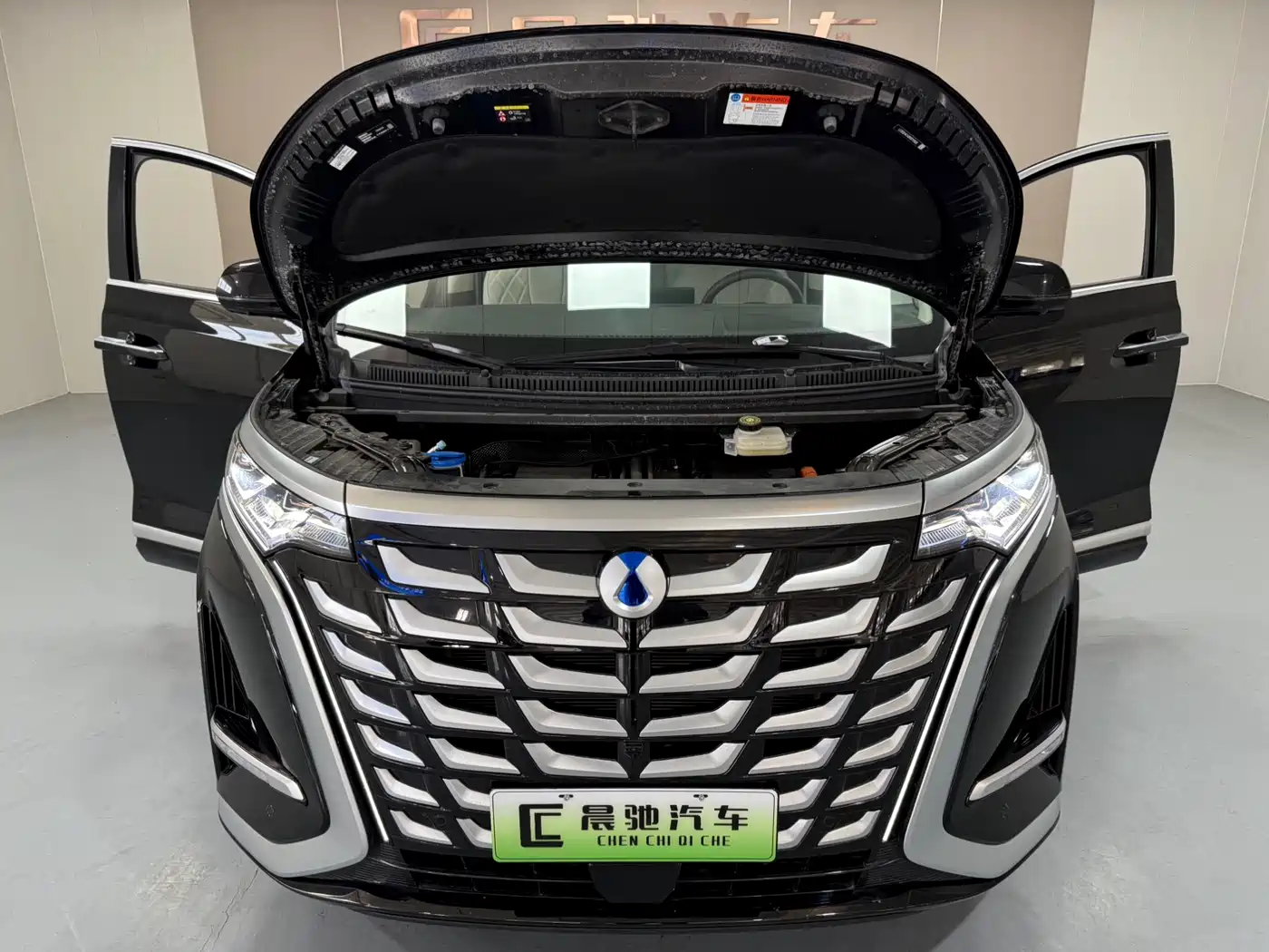 Denza D9 2025 Model DM-i Smart Drive Edition 1020 AWD Flagship фото 15