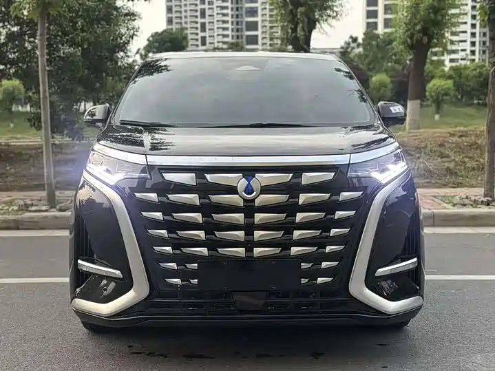 Denza D9 2022 DM-i 970 All-Wheel Drive Honor Edition фото 2