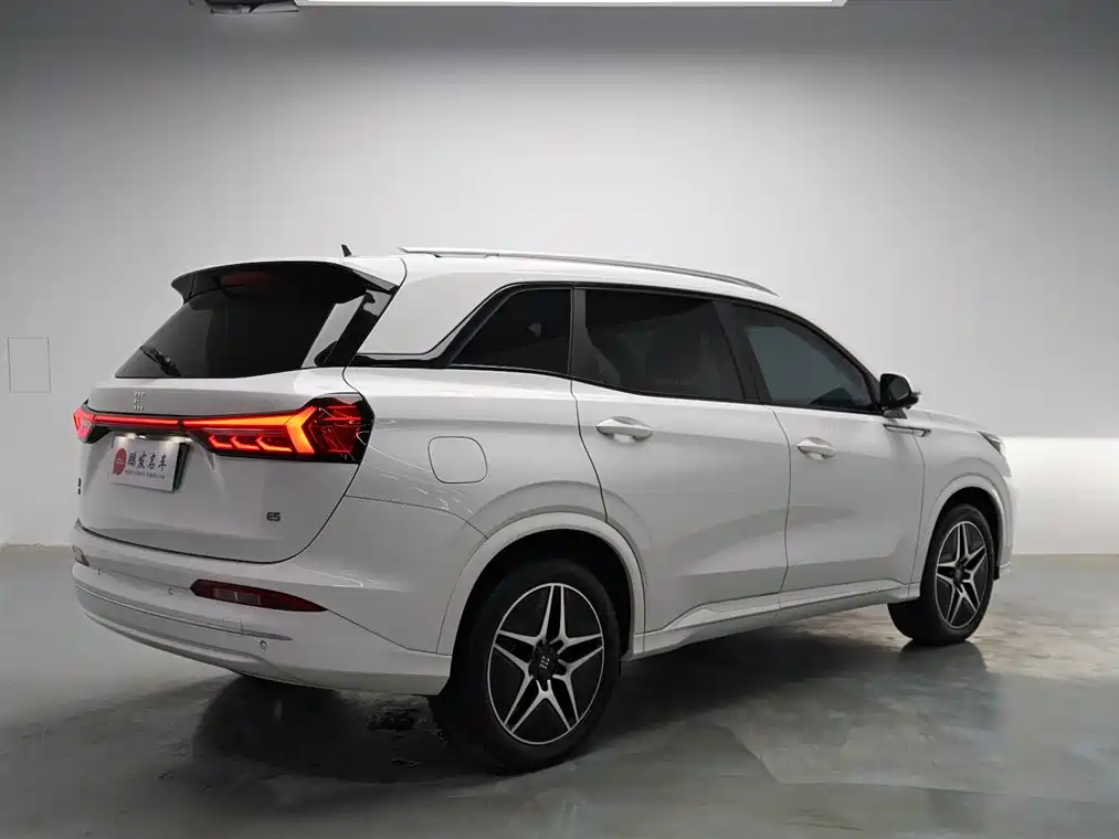 Landian E5 2024 2024 Glory Edition 100KM Ultimate Type 7-Seater