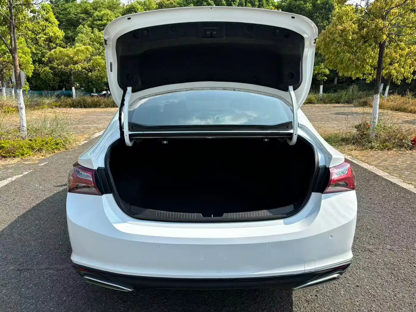 Chevrolet Malibu XL 2019 535T CVT Dynamic Edition фото 13
