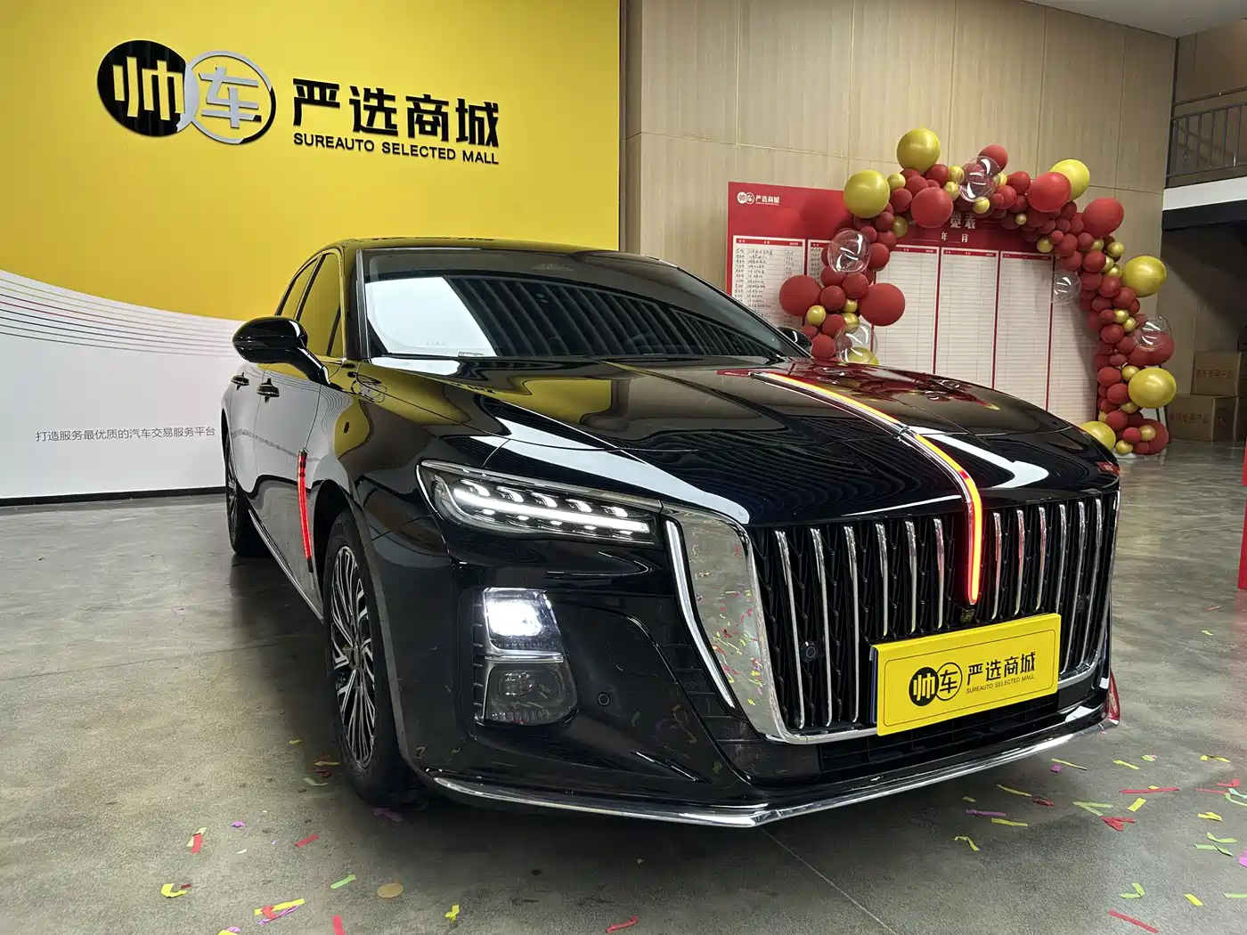 Hongqi H5 2023 2.0T Auto Smart Connect Flag Comfort фото 3