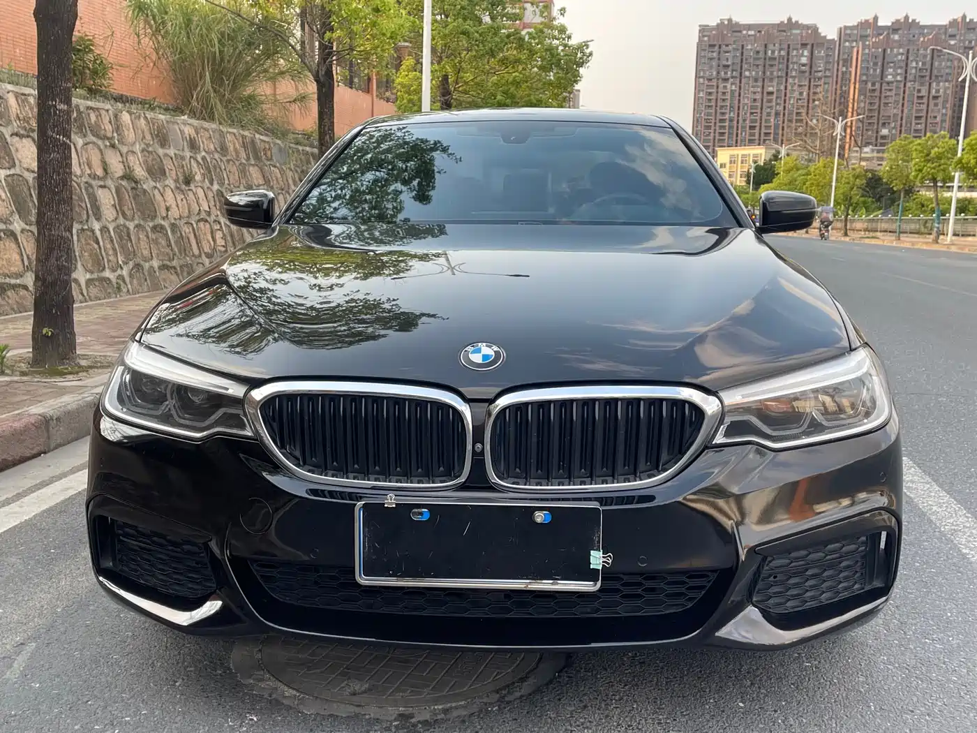 BMW 5 Series 2019 530Li Premium M Sport Package фото 2