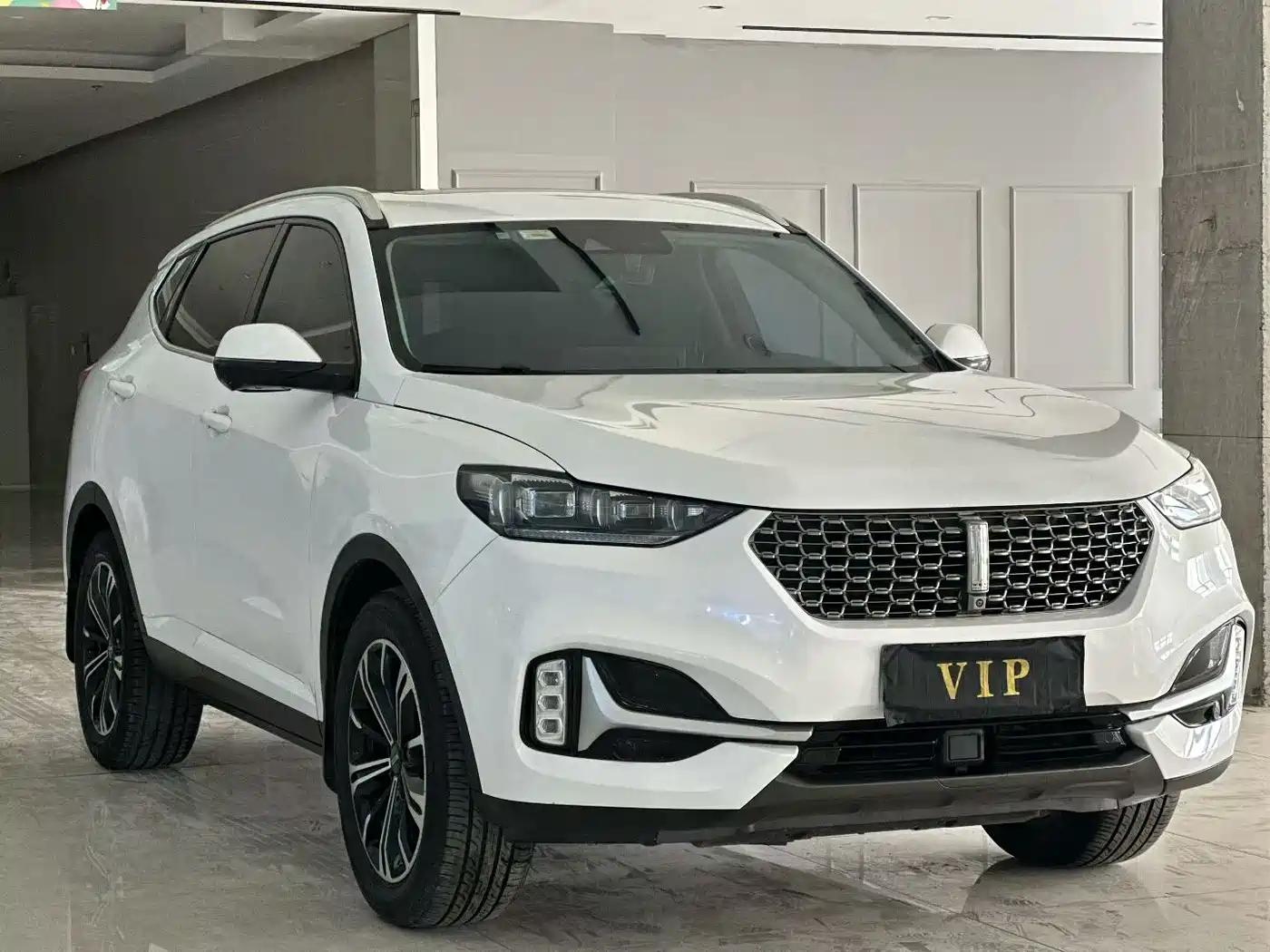 WEI PAI WEI BRAND VV6