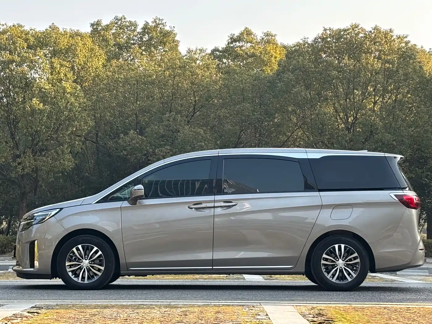 Buick GL8 2023 ES Landmaster Exclusive фото 6