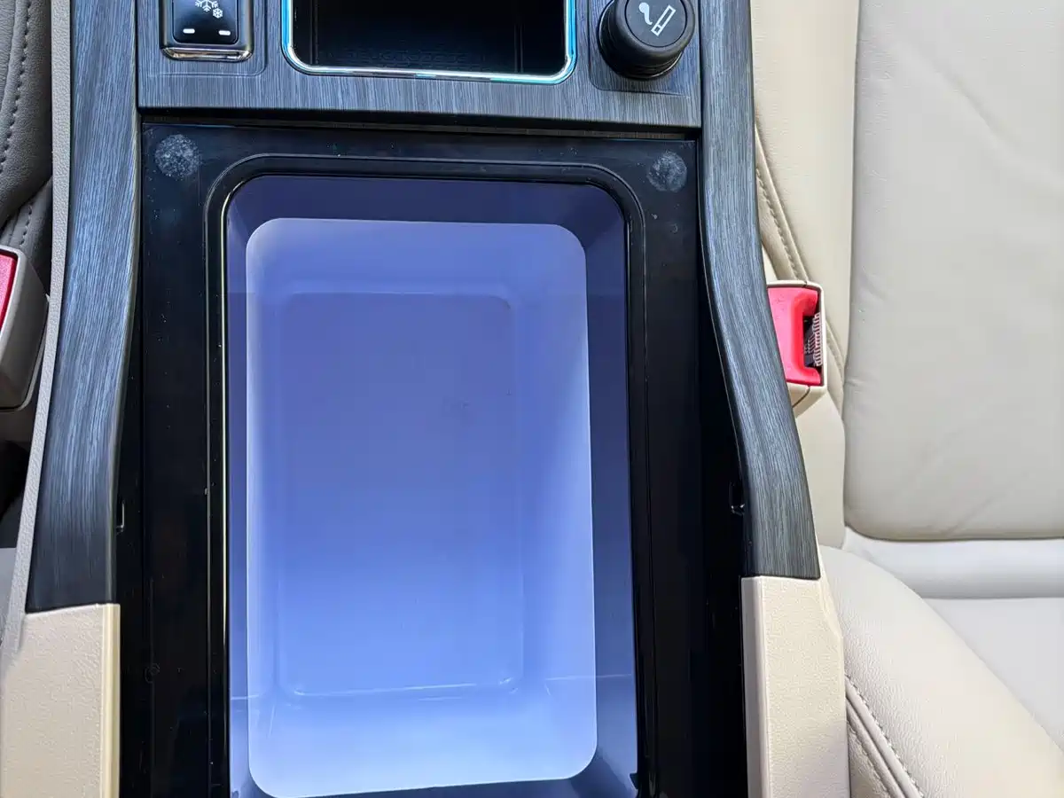 Buick GL8 2023 ES Landmaster Exclusive фото 16