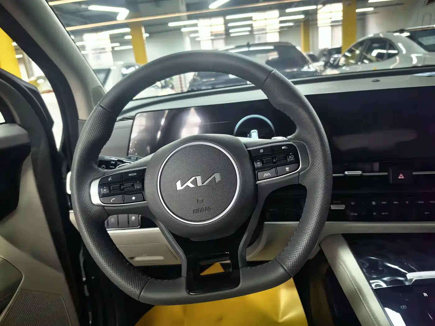 KIA LION PLATINUM EXPANDS THE WORLD